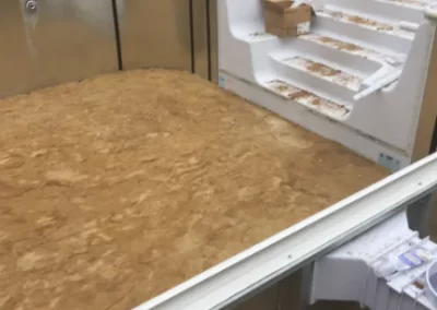 Professional Pool Contractor